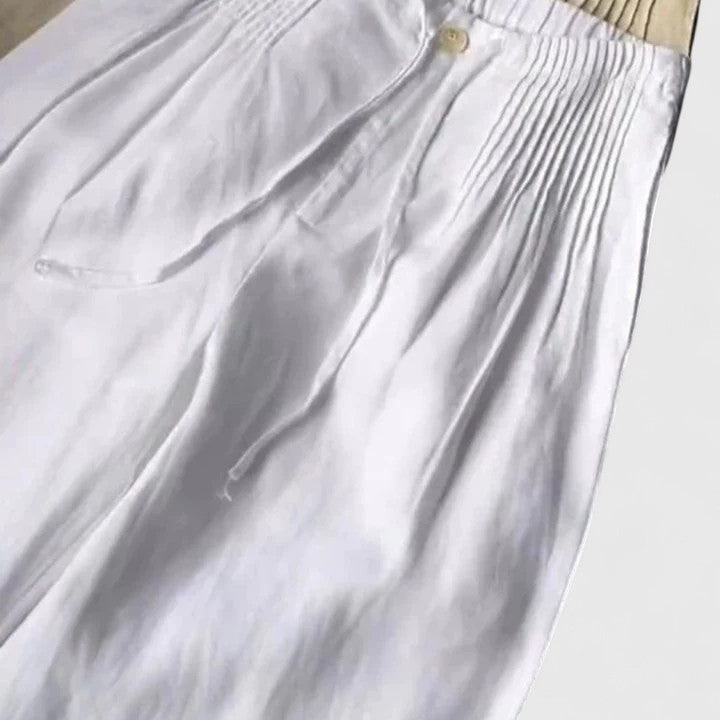 Chic Saree with Stylish Trousers for Any Occasion